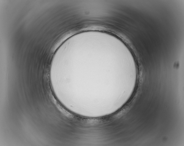X0000112461425200909281009