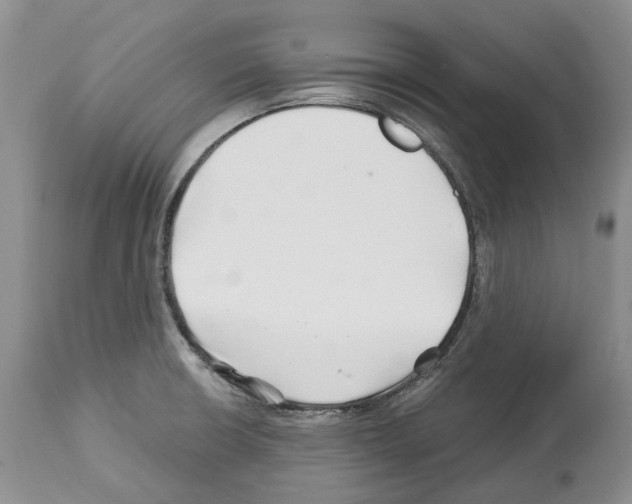 X0000112461426200909281009