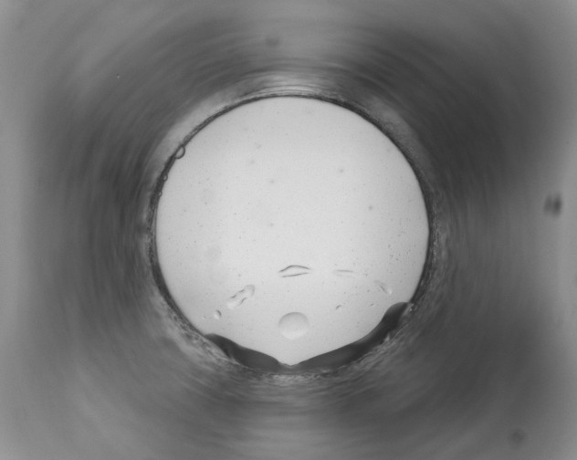 X0000112461427200909281009