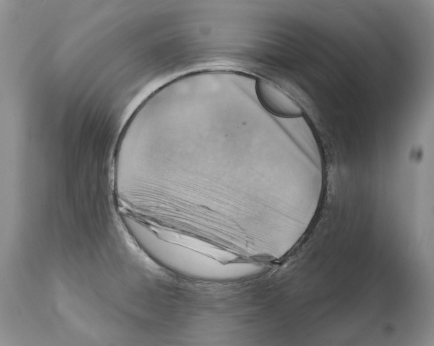 X0000112461428200909281009