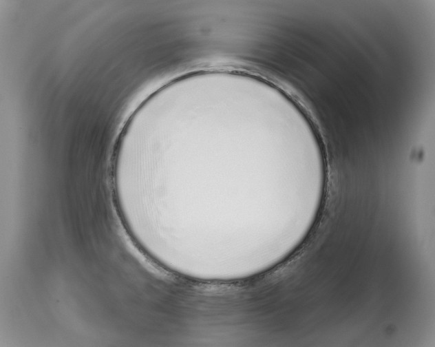 X0000112461429200909281009