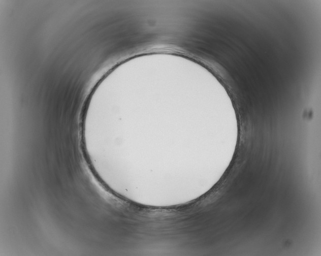 X0000112461430200909281009