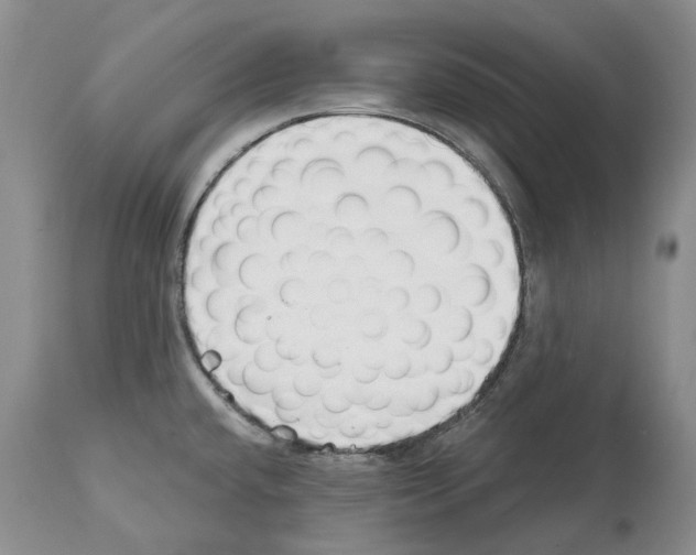 X0000112461432200909281009