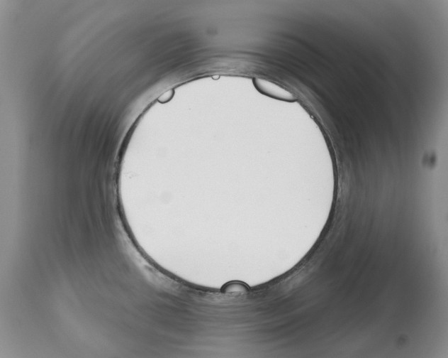 X0000112461434200909281009