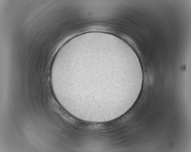 X0000112461435200909281009