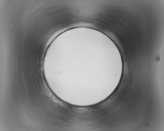 X0000112461436200909281009