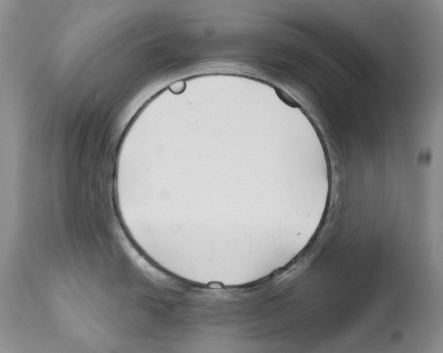 X0000112461438200909281009