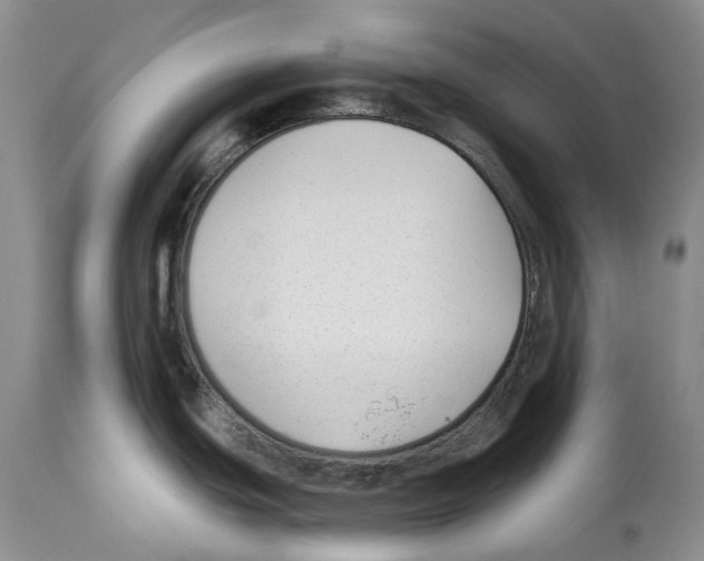 X0000112461439200909281009