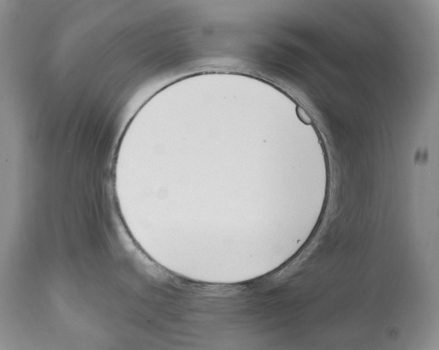 X0000112461440200909281009