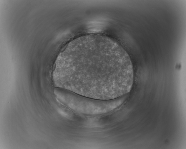 X0000112461441200909281008