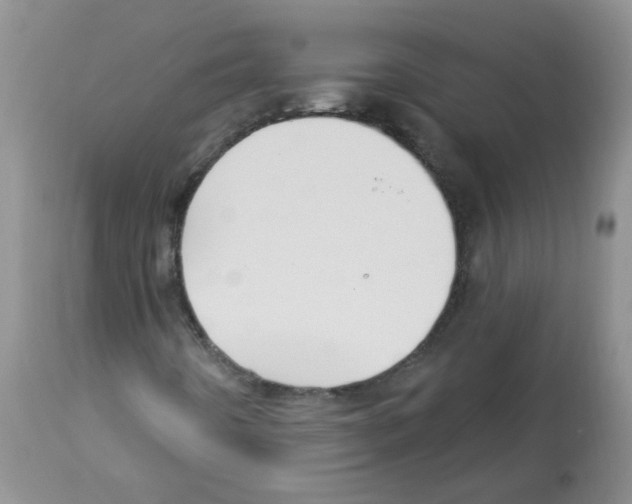X0000112461442200909281008