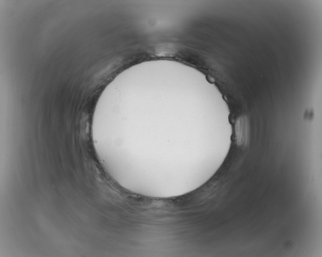 X0000112461443200909281008