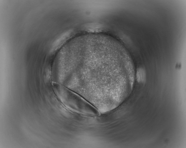 X0000112461444200909281008