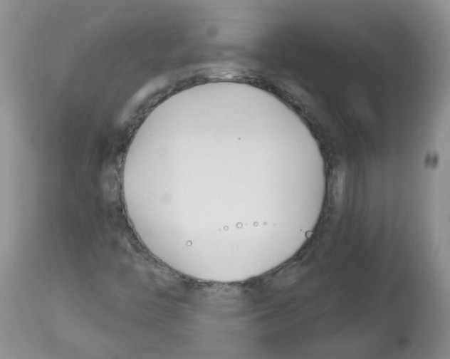 X0000112461446200909281008