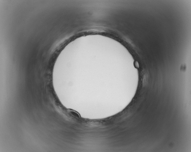 X0000112461448200909281008