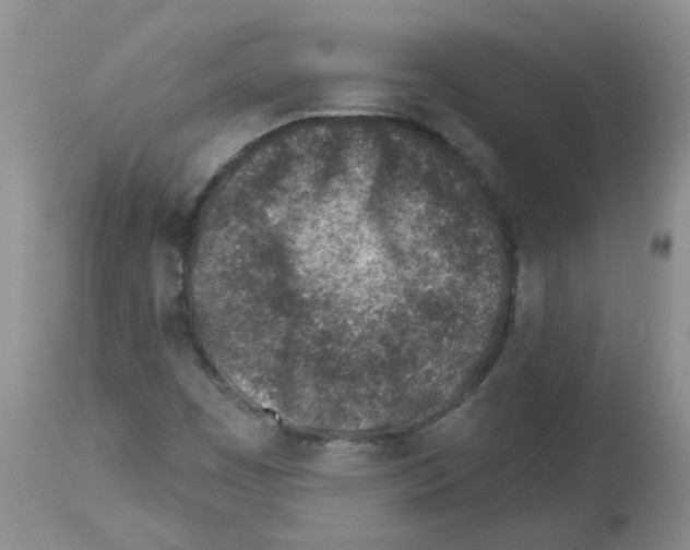 X0000112461449200909281008