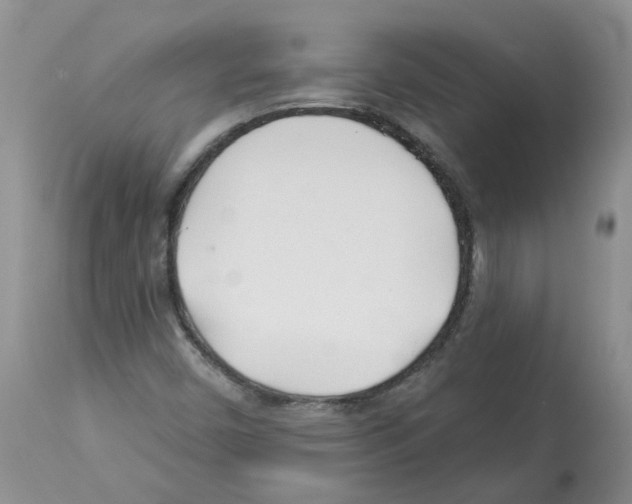 X0000112461450200909281008