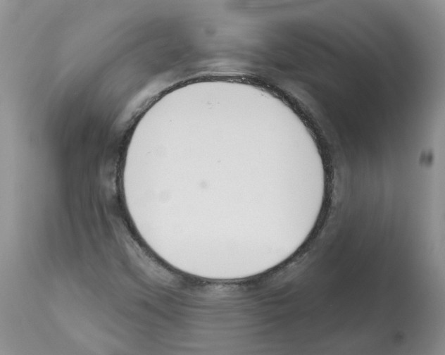 X0000112461451200909281008