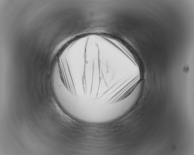 X0000112461452200909281008