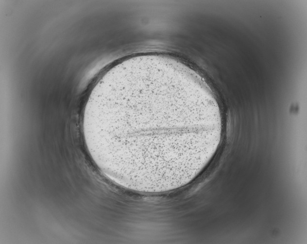 X0000112461453200909281008