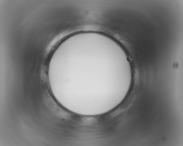X0000112461454200909281008