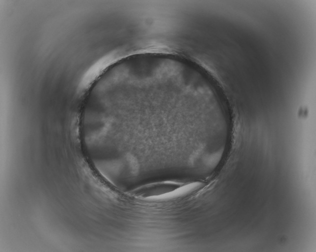 X0000112461455200909281008