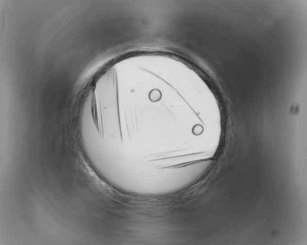 X0000112461456200909281008