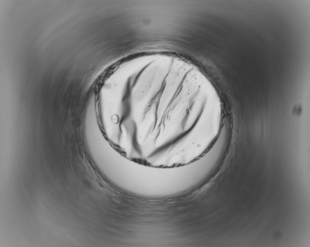 X0000112461457200909281008