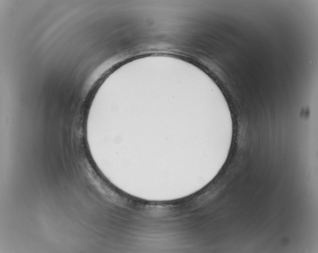 X0000112461458200909281008