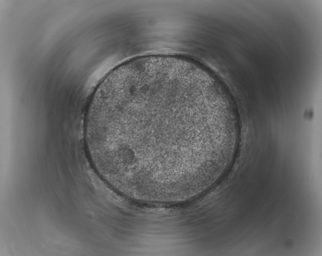 X0000112461459200909281008