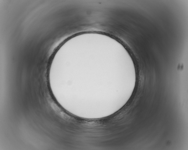 X0000112461460200909281008