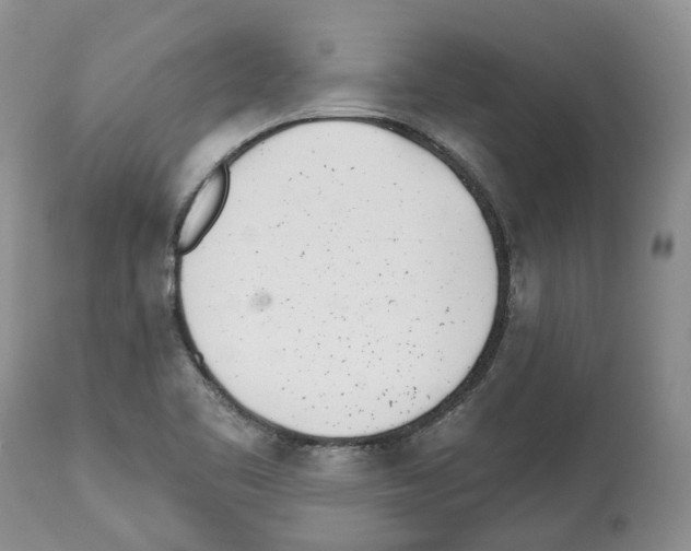 X0000112461461200909281008