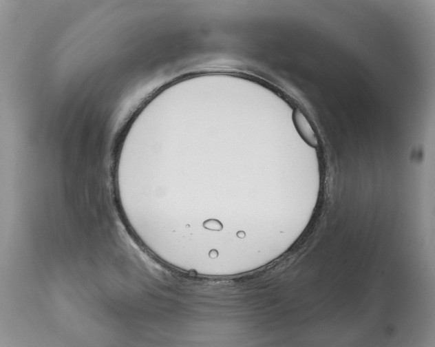 X0000112461464200909281008