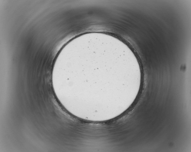 X0000112461465200909281008