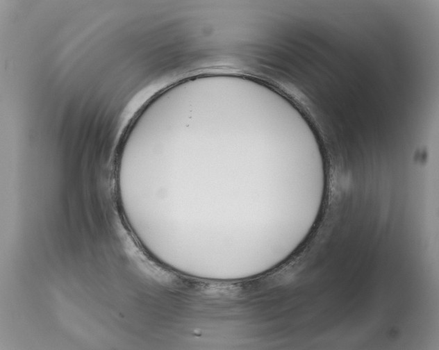 X0000112461466200909281008
