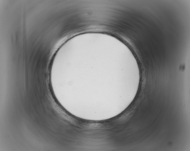 X0000112461467200909281008
