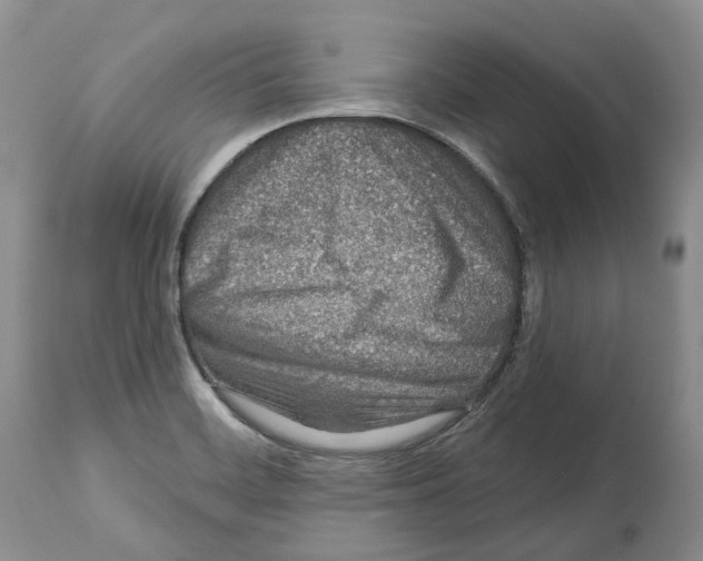 X0000112461468200909281008