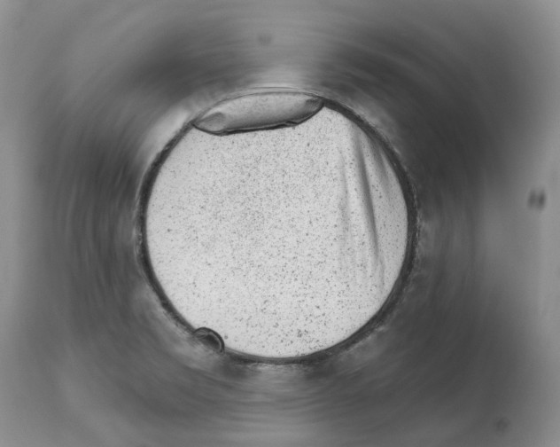 X0000112461469200909281008