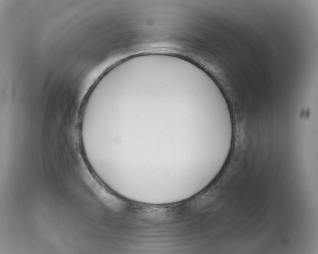 X0000112461470200909281008
