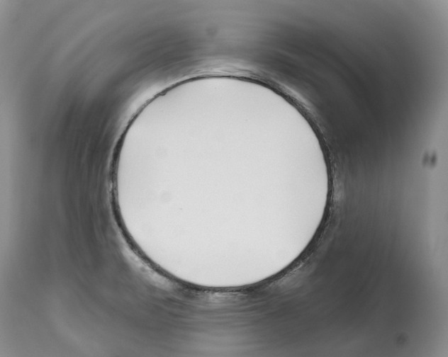 X0000112461471200909281008
