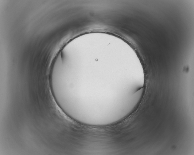 X0000112461472200909281008