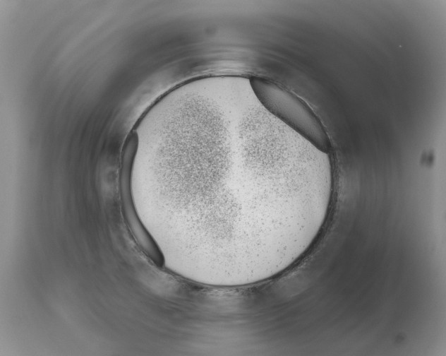 X0000112461473200909281008