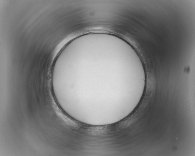 X0000112461474200909281008