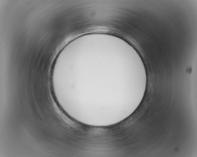 X0000112461475200909281008