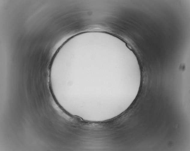 X0000112461476200909281008