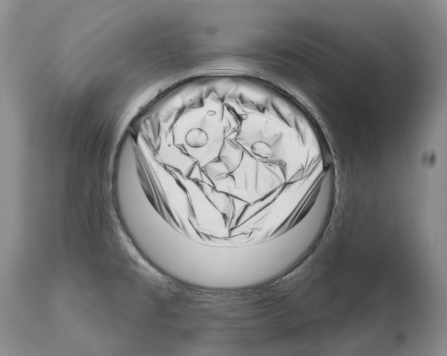 X0000112461477200909281008