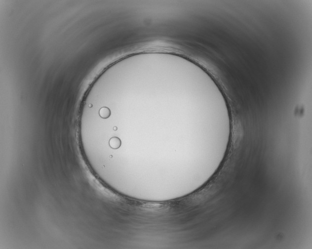 X0000112461478200909281008