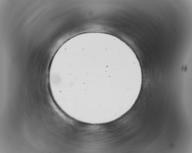 X0000112461479200909281008