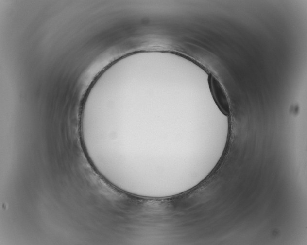 X0000112461480200909281008