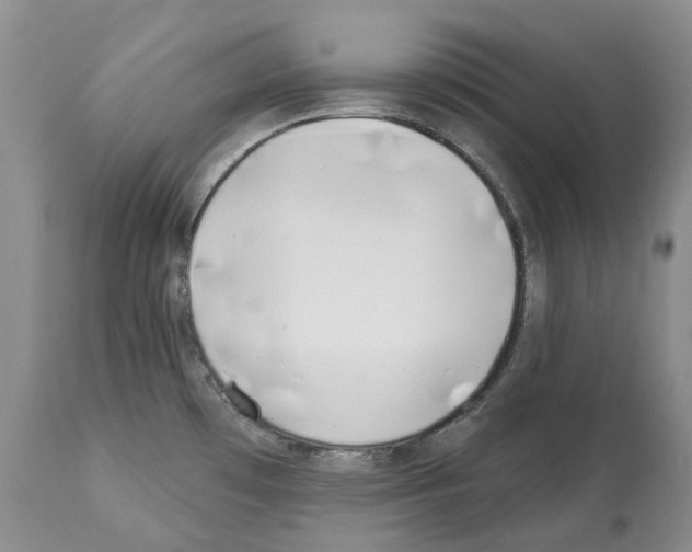 X0000112461481200909281008